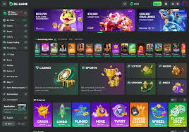 Unlocking Opportunities Your Guide to BC ame Signup