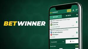 How to Access Your BetWinner Account A Complete Guide to Login
