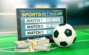 Exploring BetWinner A Comprehensive Guide to Online Betting -2086467278