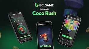 Experience the Thrill of BC.Game Online Casino and Sportsbook 1752587753