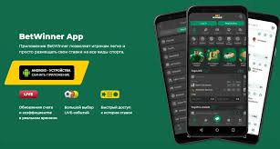 Comprehensive Guide to the BetWinner Login Process 494687410