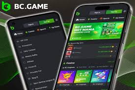 Understanding BC Game KYC A Comprehensive Guide 1018675785